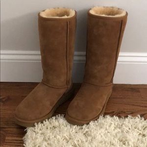 Tall Chestnut Uggs